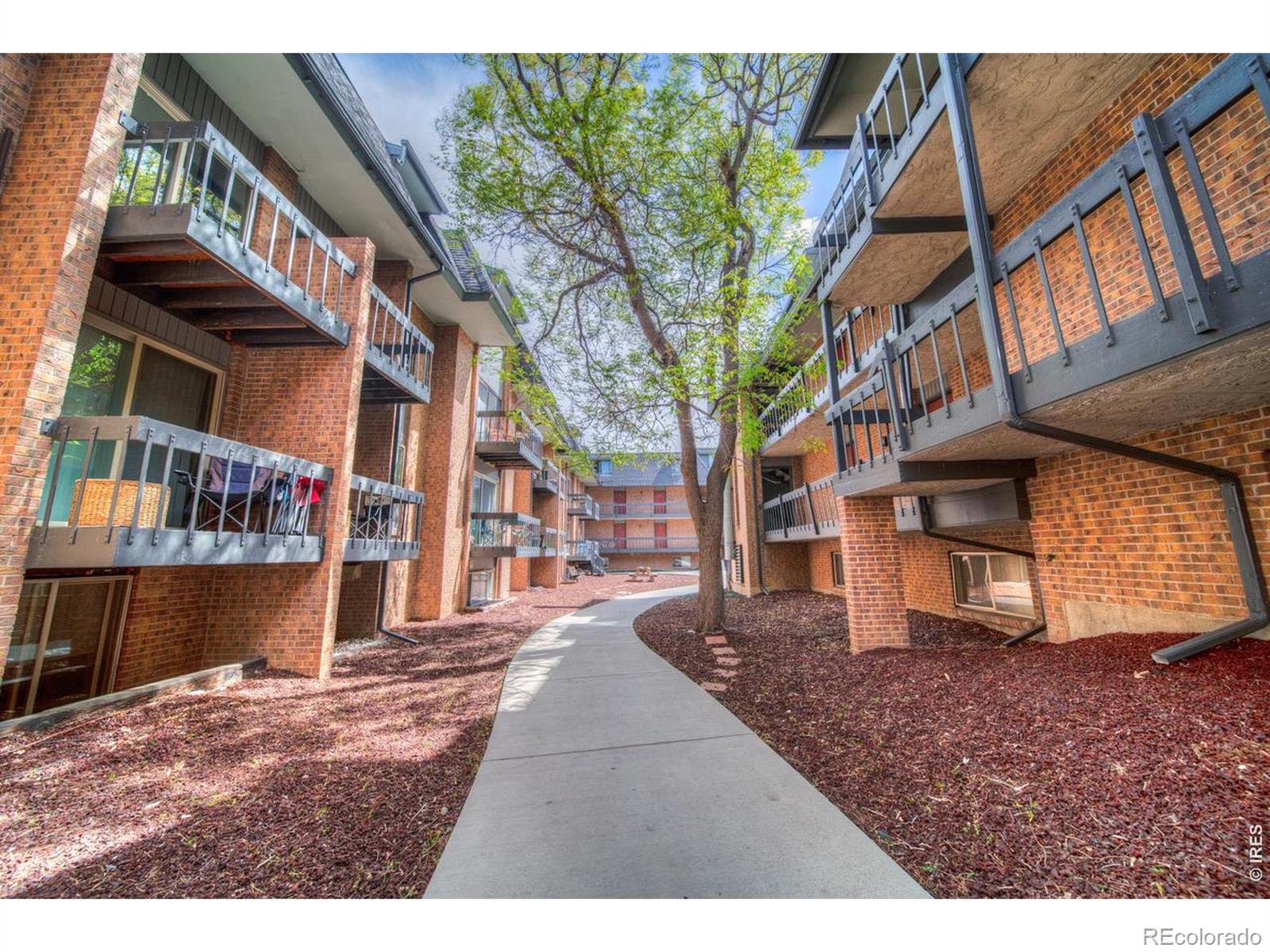 1065 University Avenue Boulder CO 80302