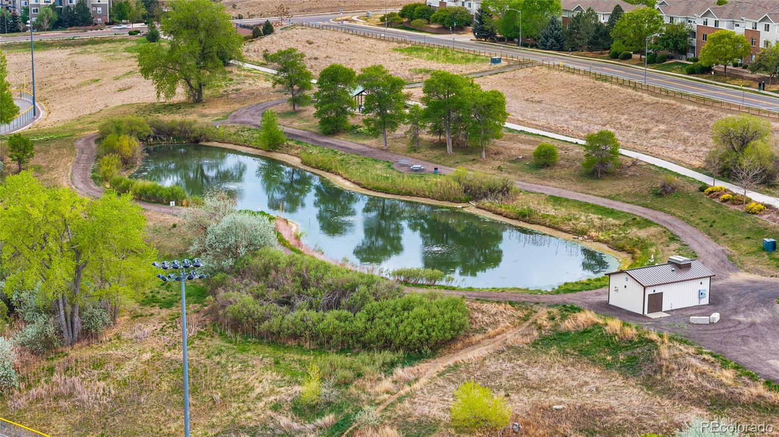 10239 W 55th Drive Arvada CO 80002