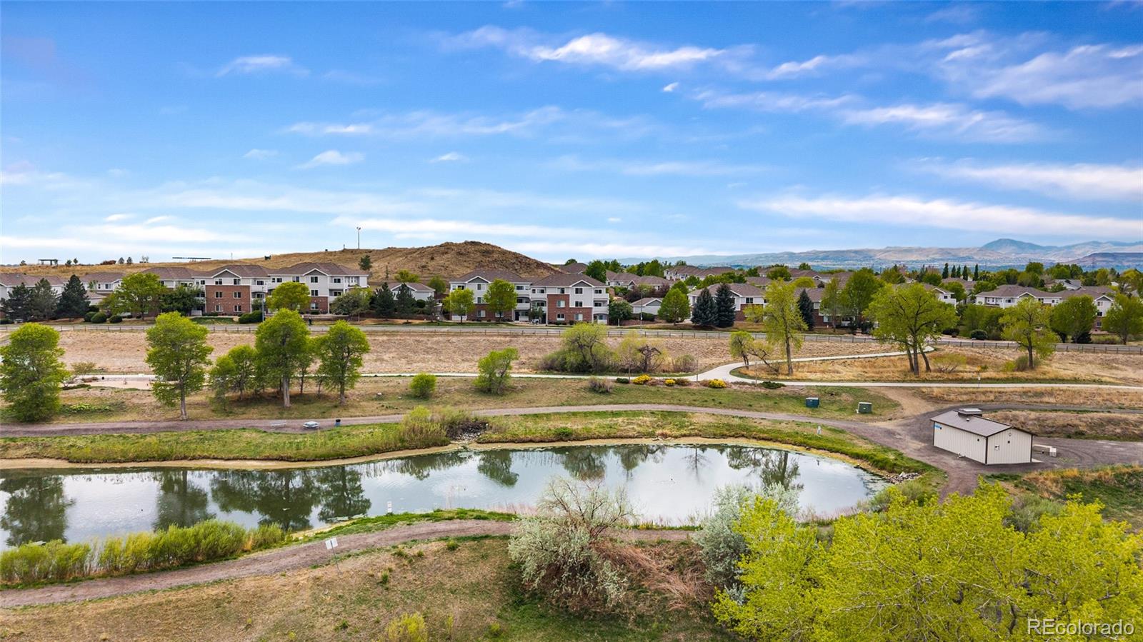 10239 W 55th Drive Arvada CO 80002
