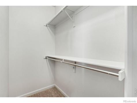 2178 Cape Hatteras Drive Windsor CO 80550