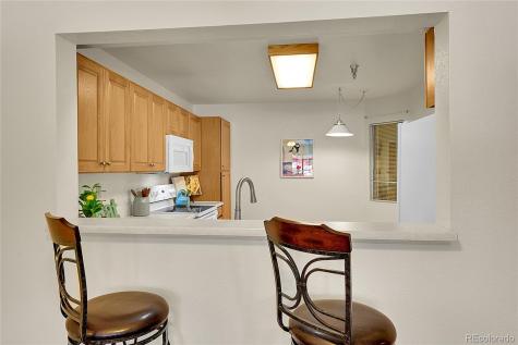 31819 Rocky Village Drive Evergreen CO 80439