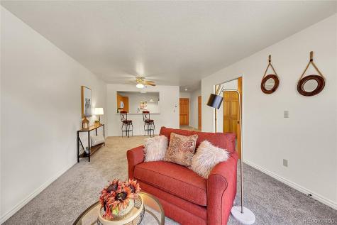 31819 Rocky Village Drive Evergreen CO 80439