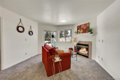31819 Rocky Village Drive Evergreen CO 80439