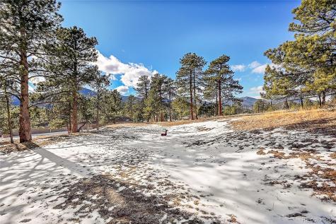 31819 Rocky Village Drive Evergreen CO 80439