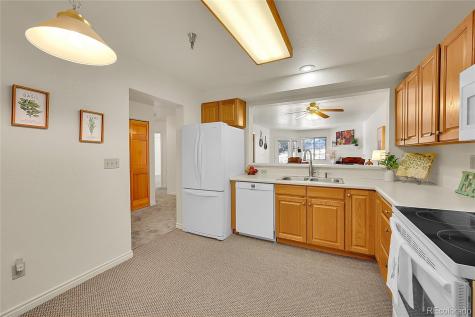 31819 Rocky Village Drive Evergreen CO 80439
