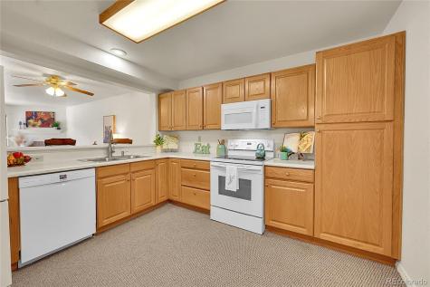 31819 Rocky Village Drive Evergreen CO 80439
