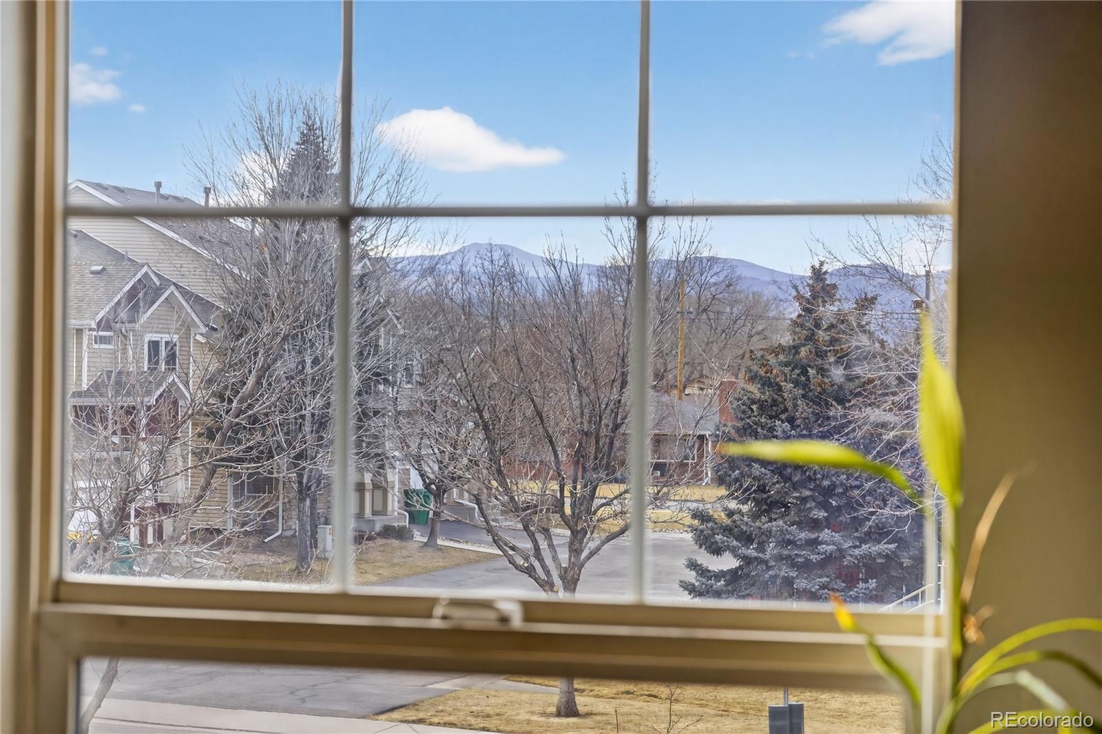 4676 Flower Street Wheat Ridge CO 80033