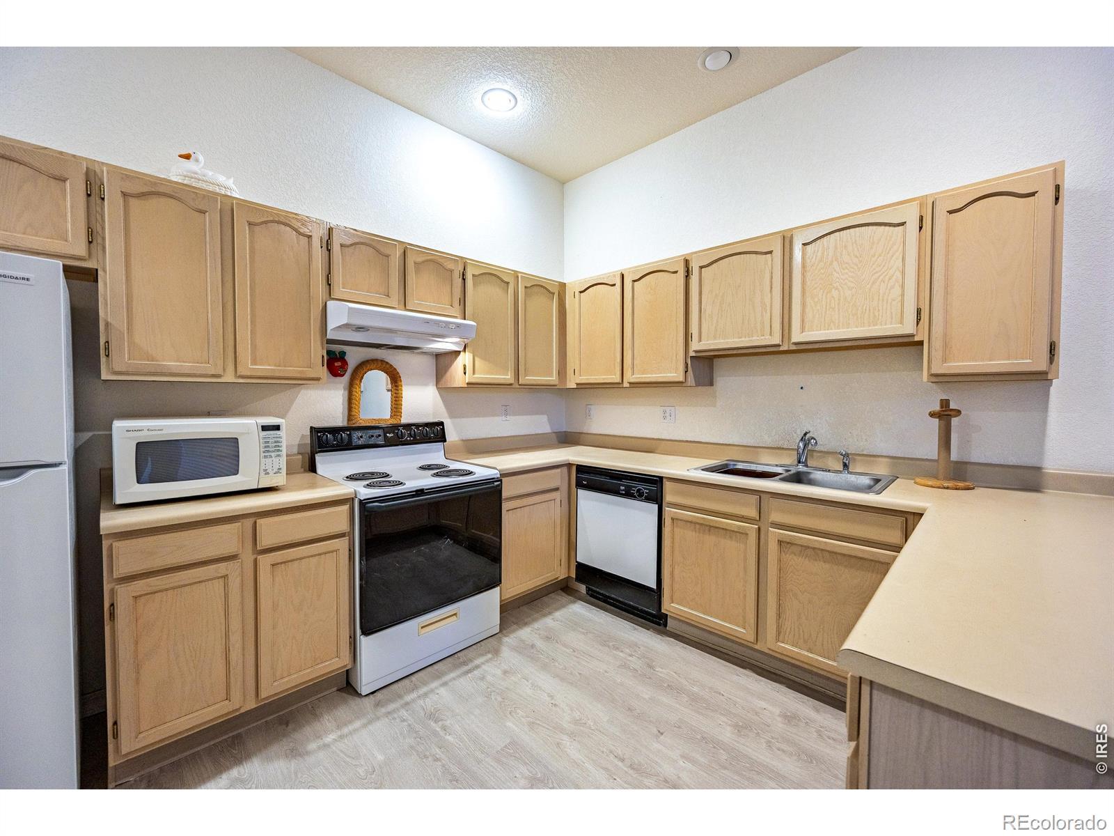 4500 Seneca Street Fort Collins CO 80526