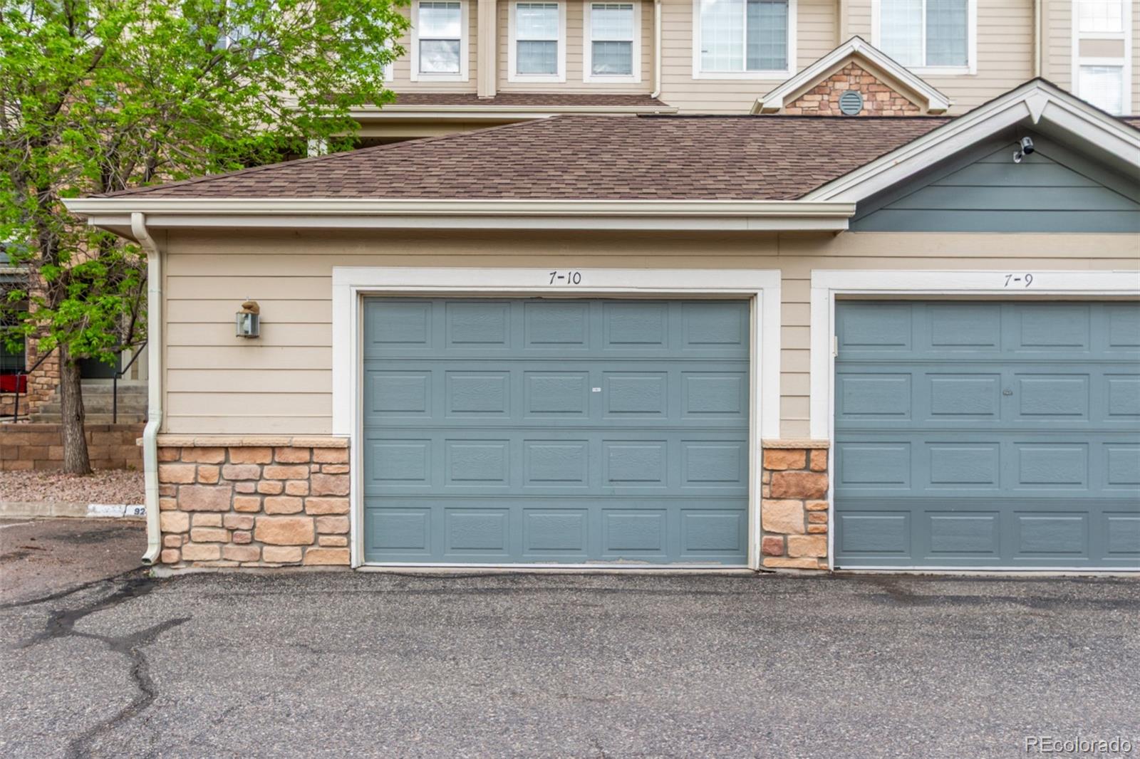 457 Black Feather Loop Castle Rock CO 80104