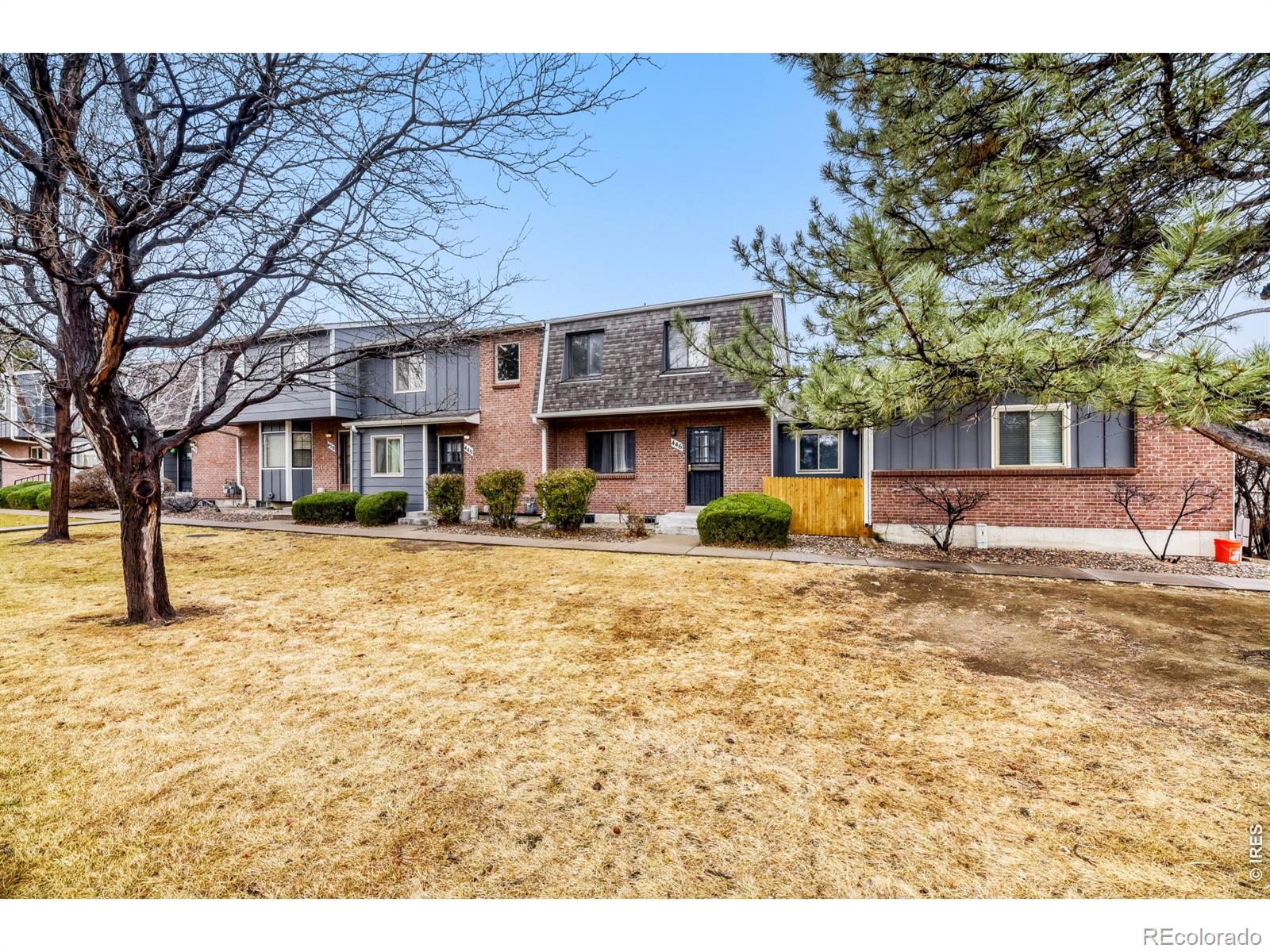 446 S Balsam Street Lakewood CO 80226