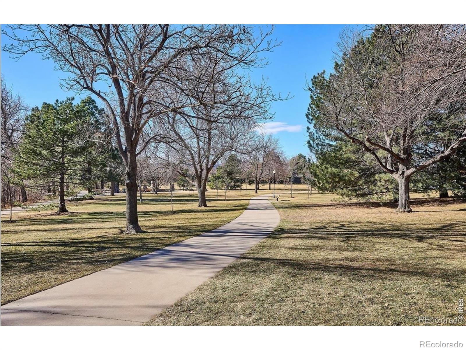 446 S Balsam Street Lakewood CO 80226