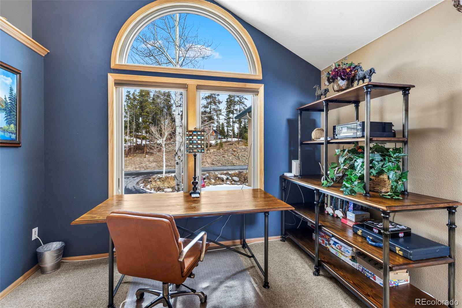14 Larson Lane Frisco CO 80443