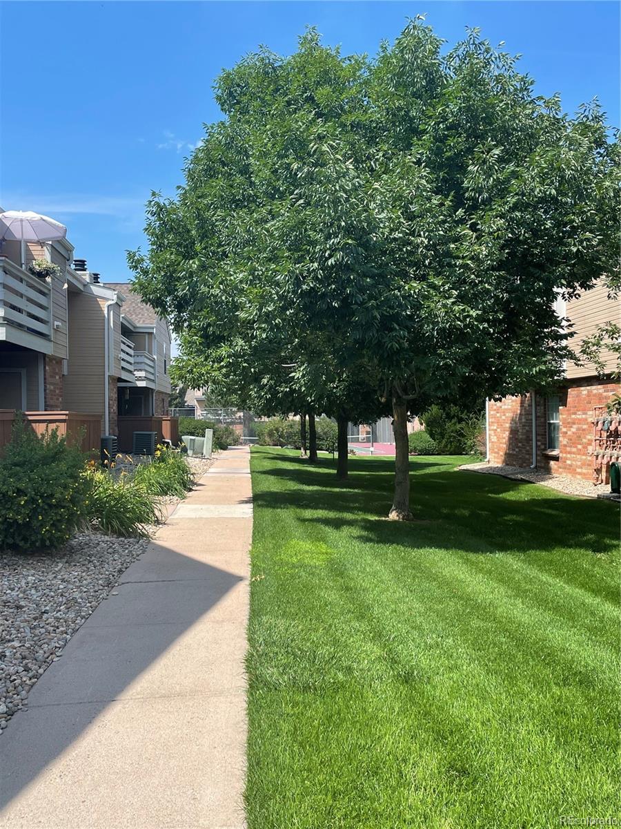 3322 S Ammons Street Lakewood CO 80227