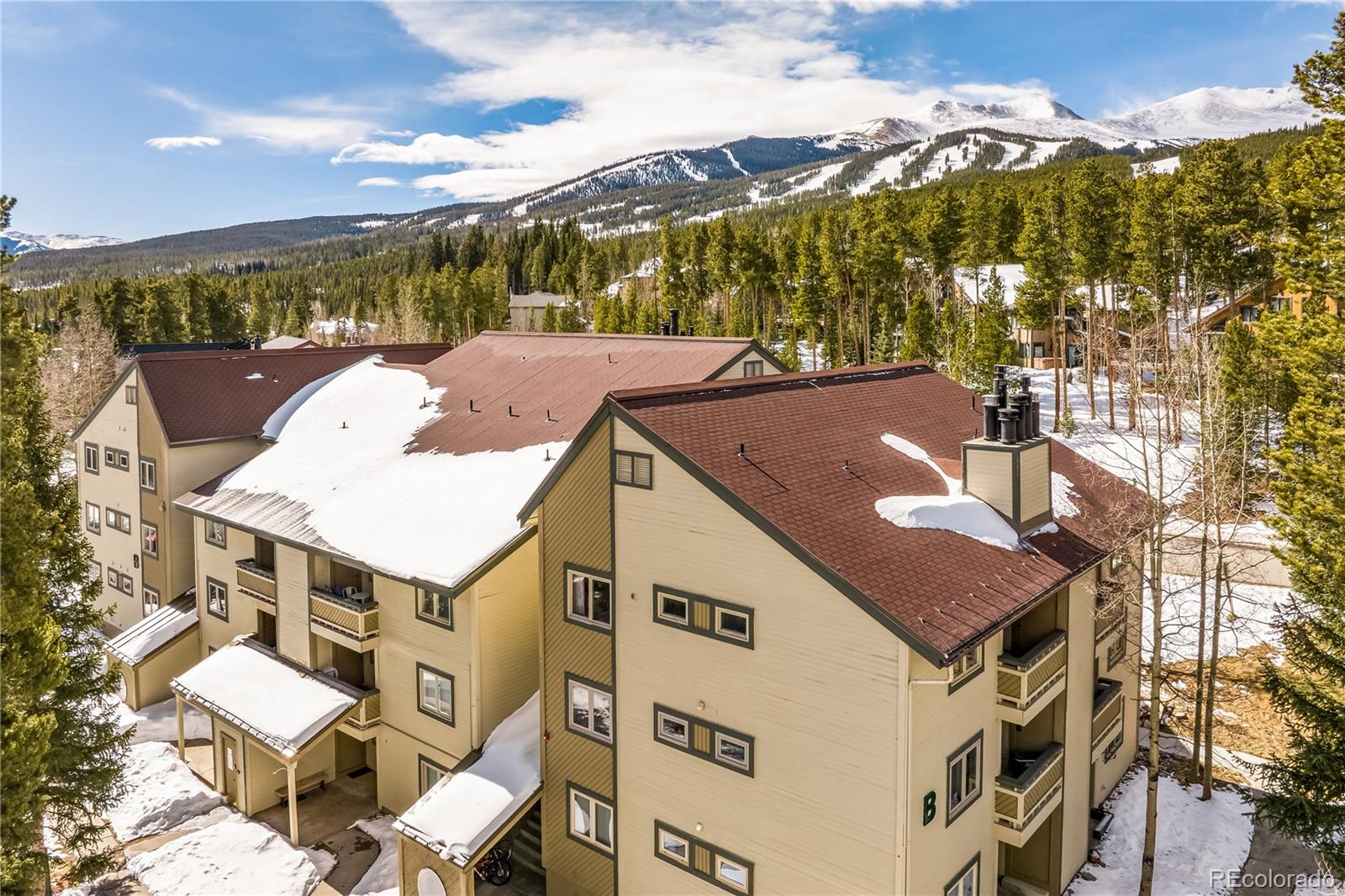 1001 Grandview Drive Breckenridge CO 80424