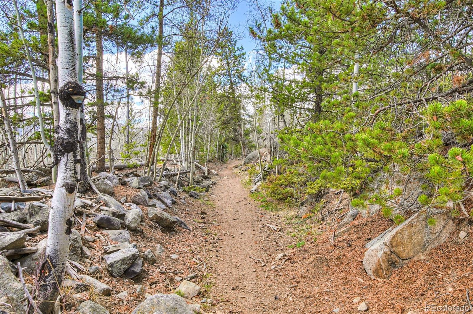 71 Antlers Gulch Road Keystone CO 80435