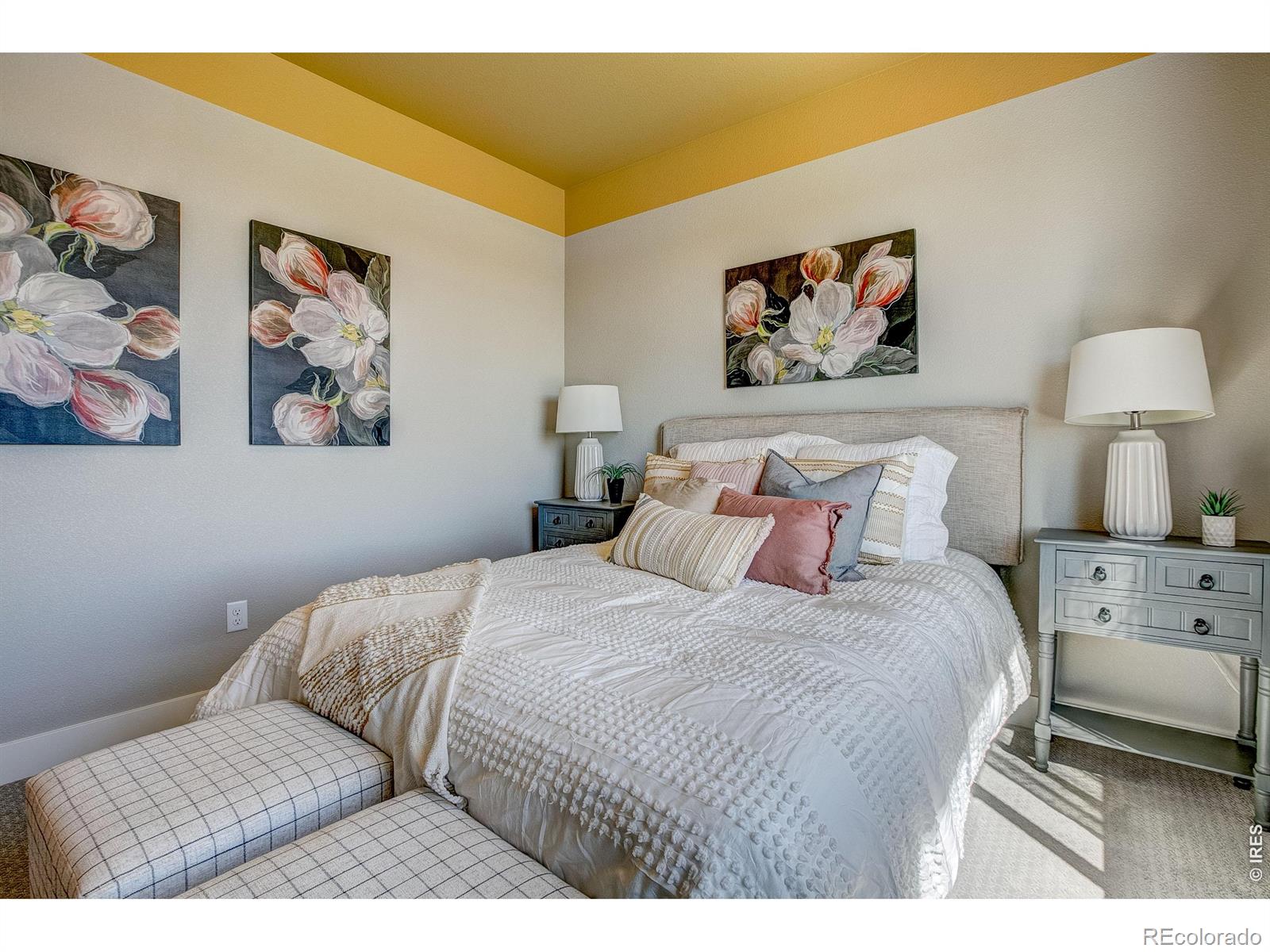 158 High Point Drive Longmont CO 80504