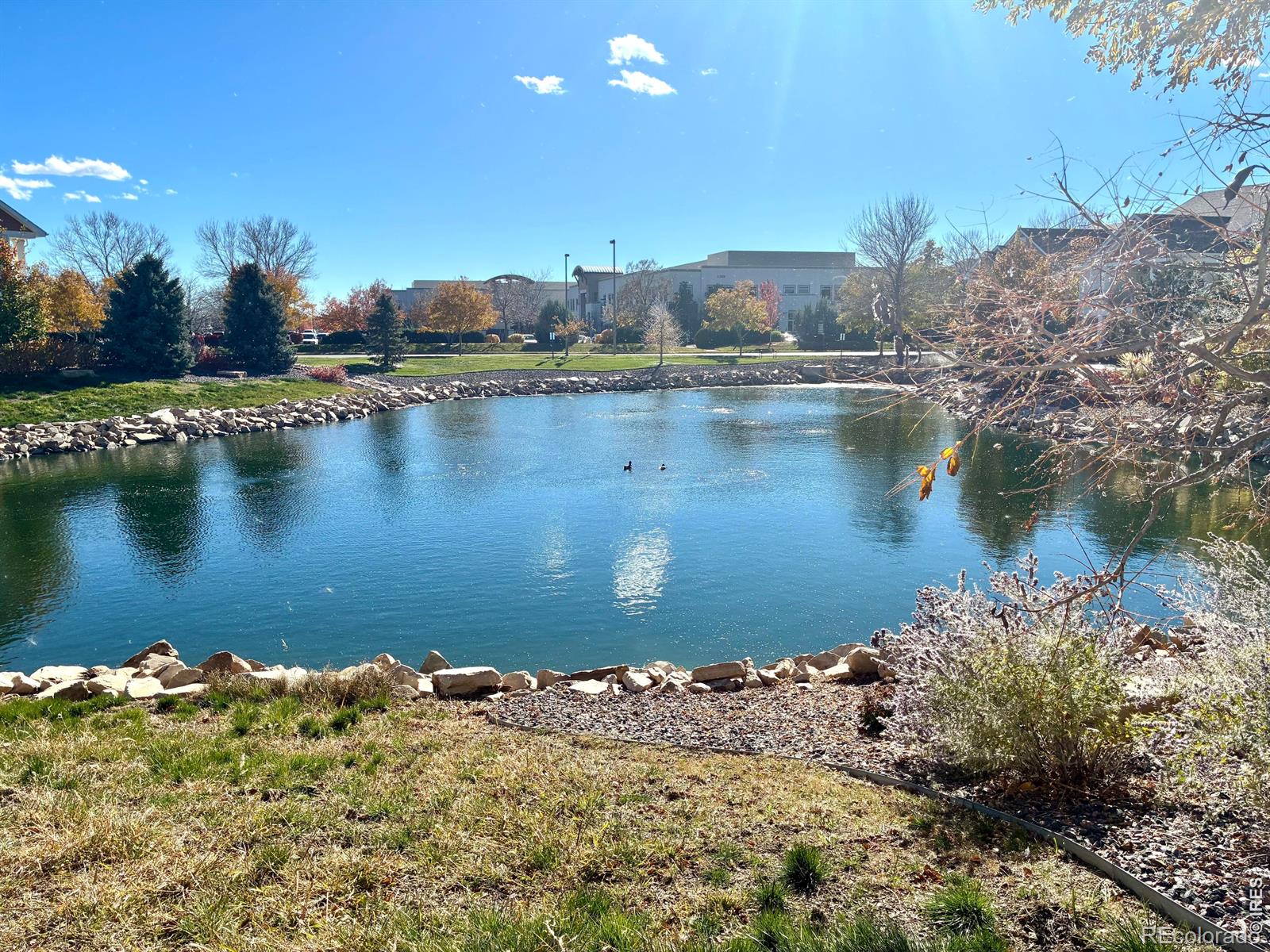 4835 Hahns Peak Drive Loveland CO 80538