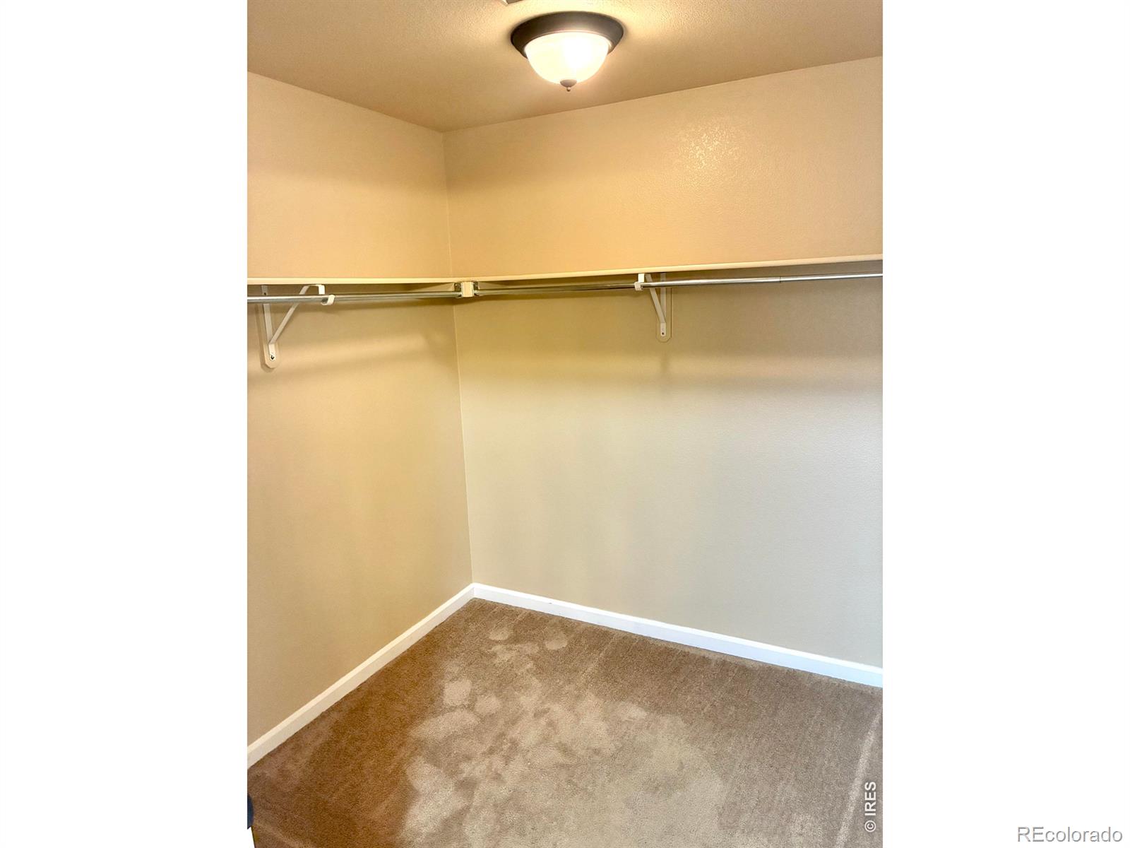 4835 Hahns Peak Drive Loveland CO 80538