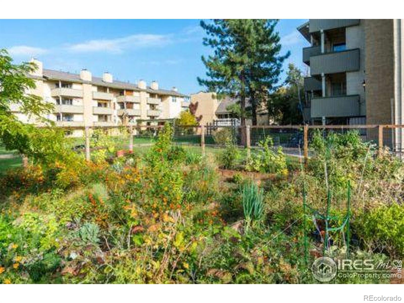 3035 Oneal Parkway Boulder CO 80301