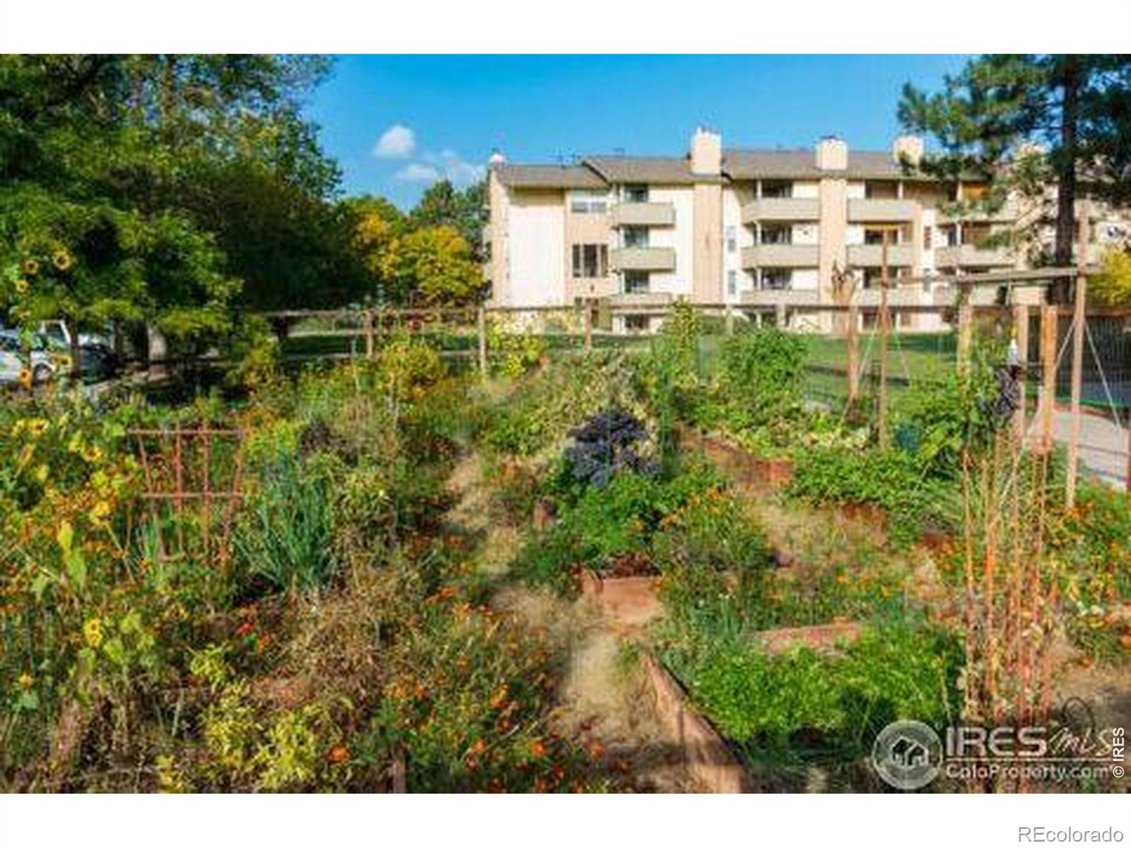 3035 Oneal Parkway Boulder CO 80301