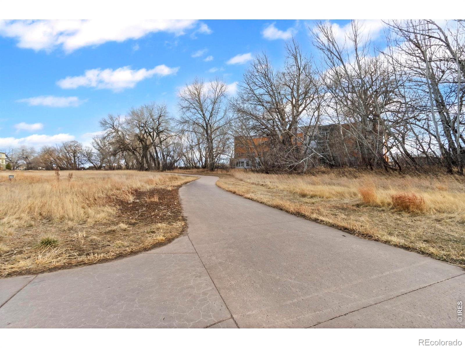 802 Blondel Street Fort Collins CO 80524