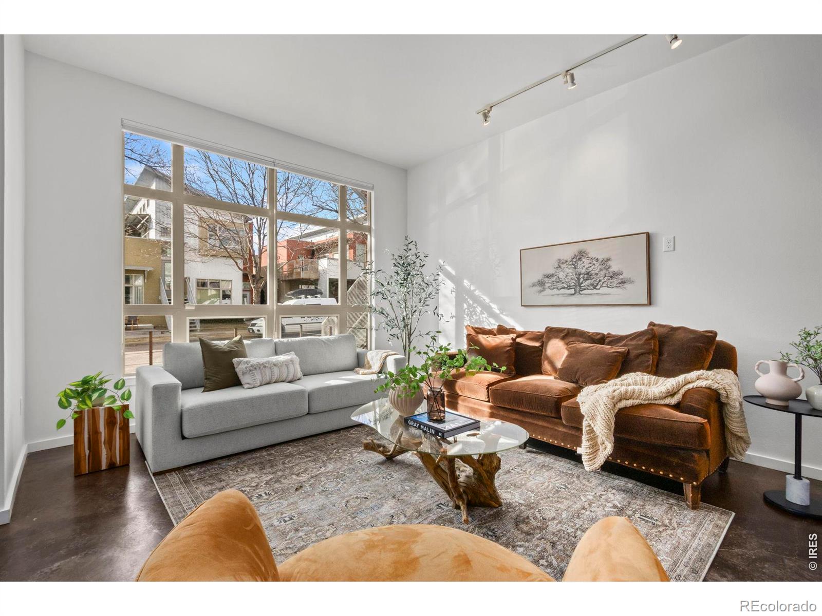 802 Blondel Street Fort Collins CO 80524