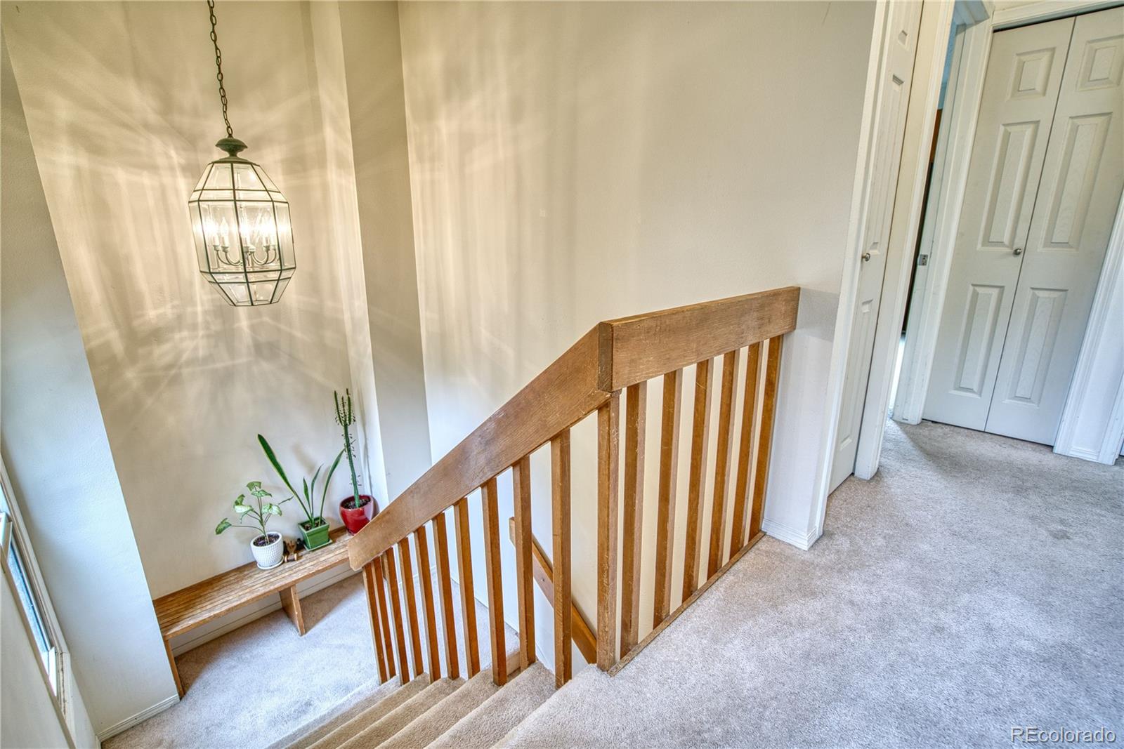 311 Wadsworth Court Longmont CO 80504