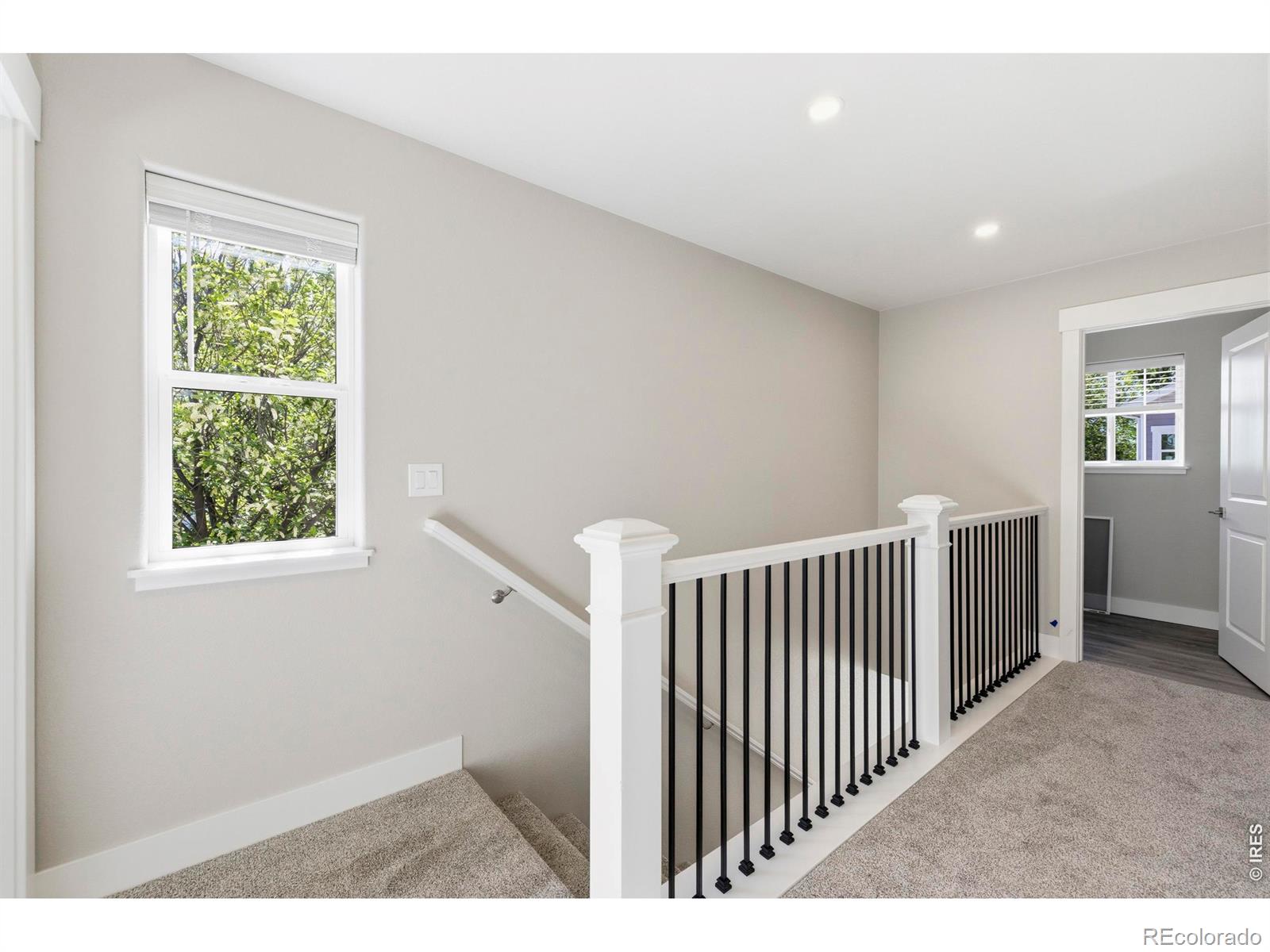 1331 E 4th Street Loveland CO 80537