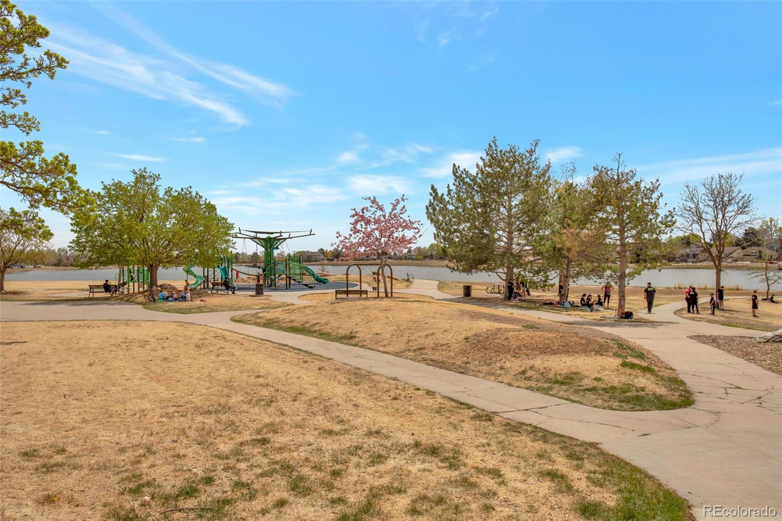 6478 W 80th Drive Arvada CO 80003