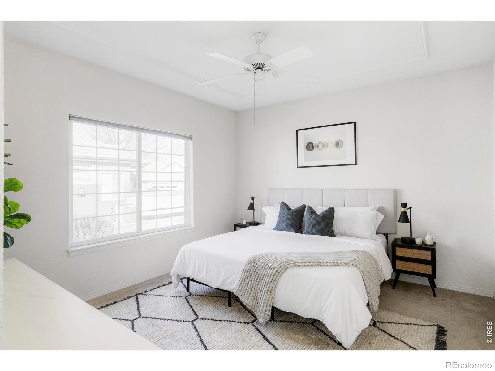 3804 Florentine Circle Longmont CO 80503