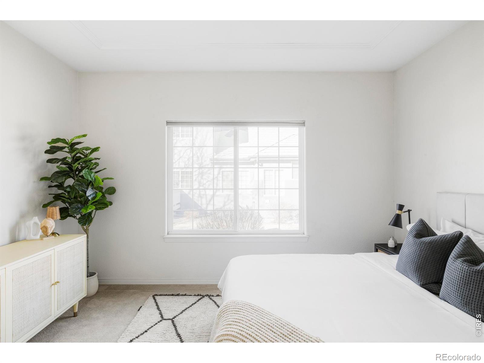3804 Florentine Circle Longmont CO 80503