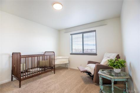 10491 Table Rock Court Poncha Springs CO 81242