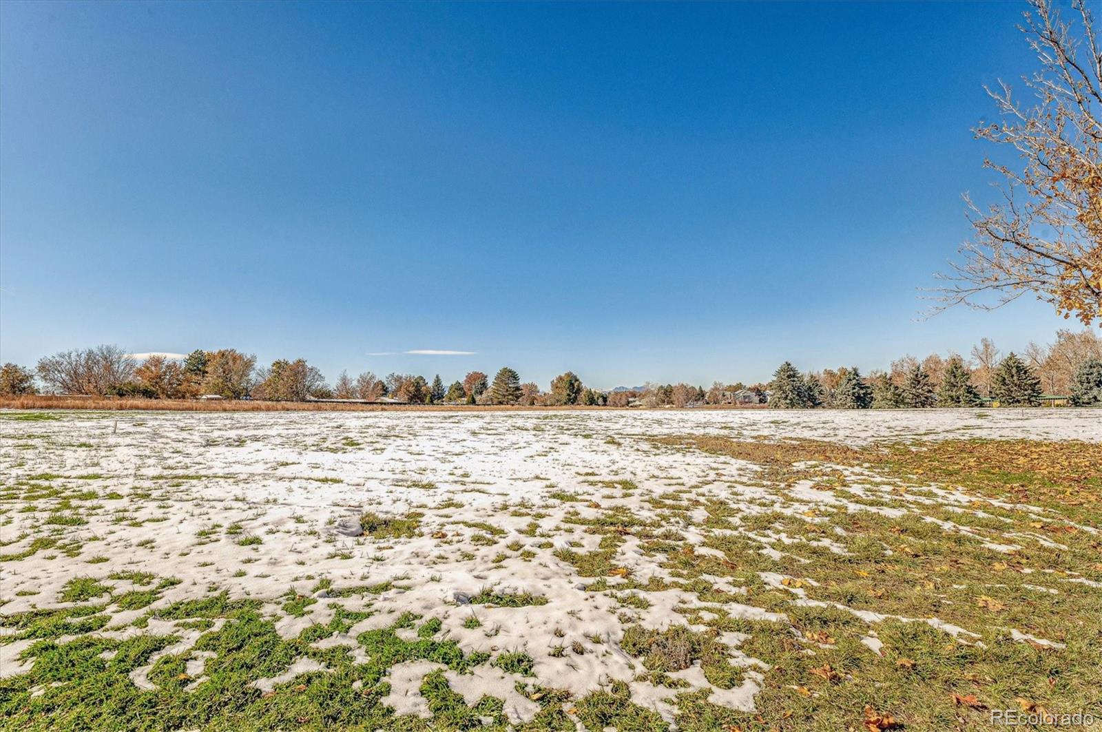 7730 W 87th Drive Arvada CO 80005