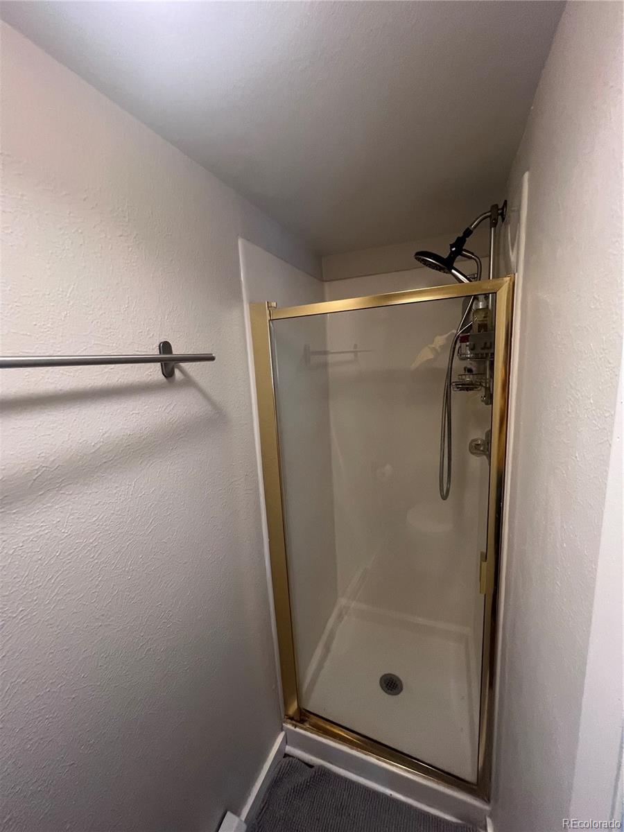 9876 Ryan Gulch Road Silverthorne CO 80498