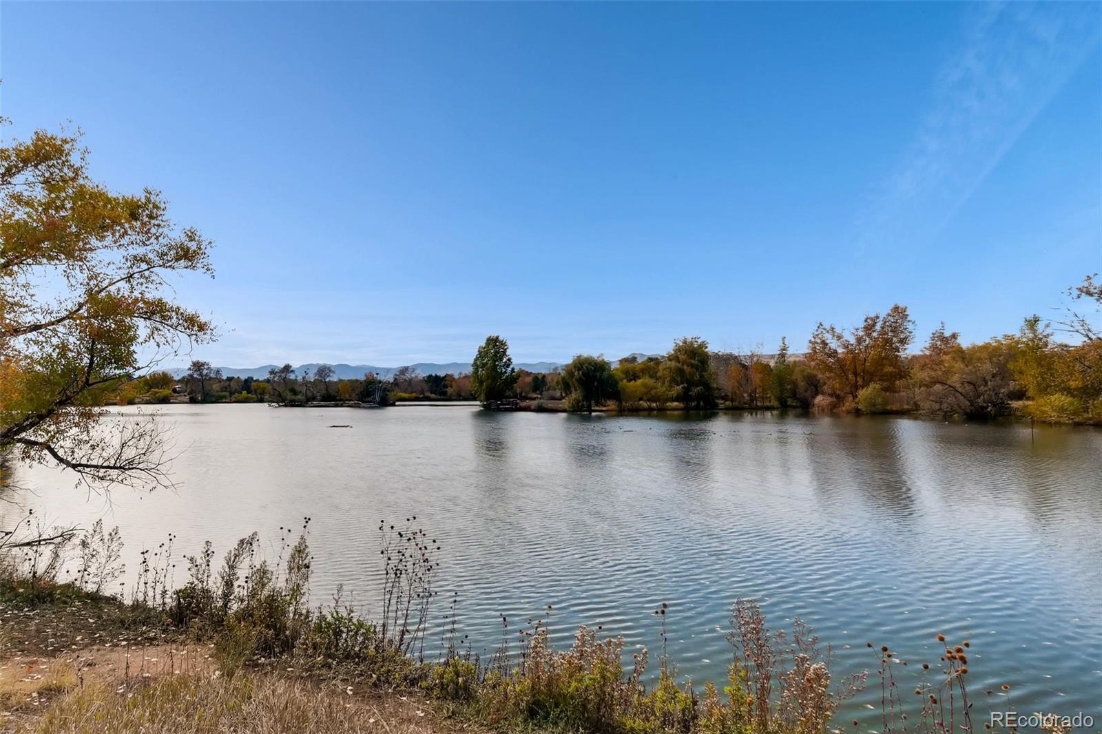 457 S Reed Court Lakewood CO 80226