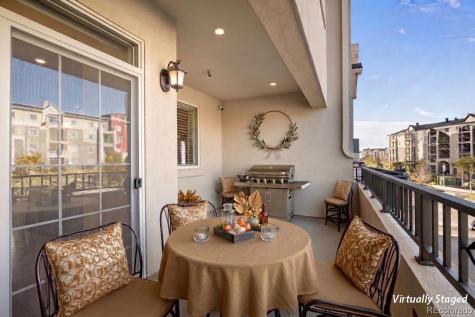 9225 Rockhurst Street Highlands Ranch CO 80129
