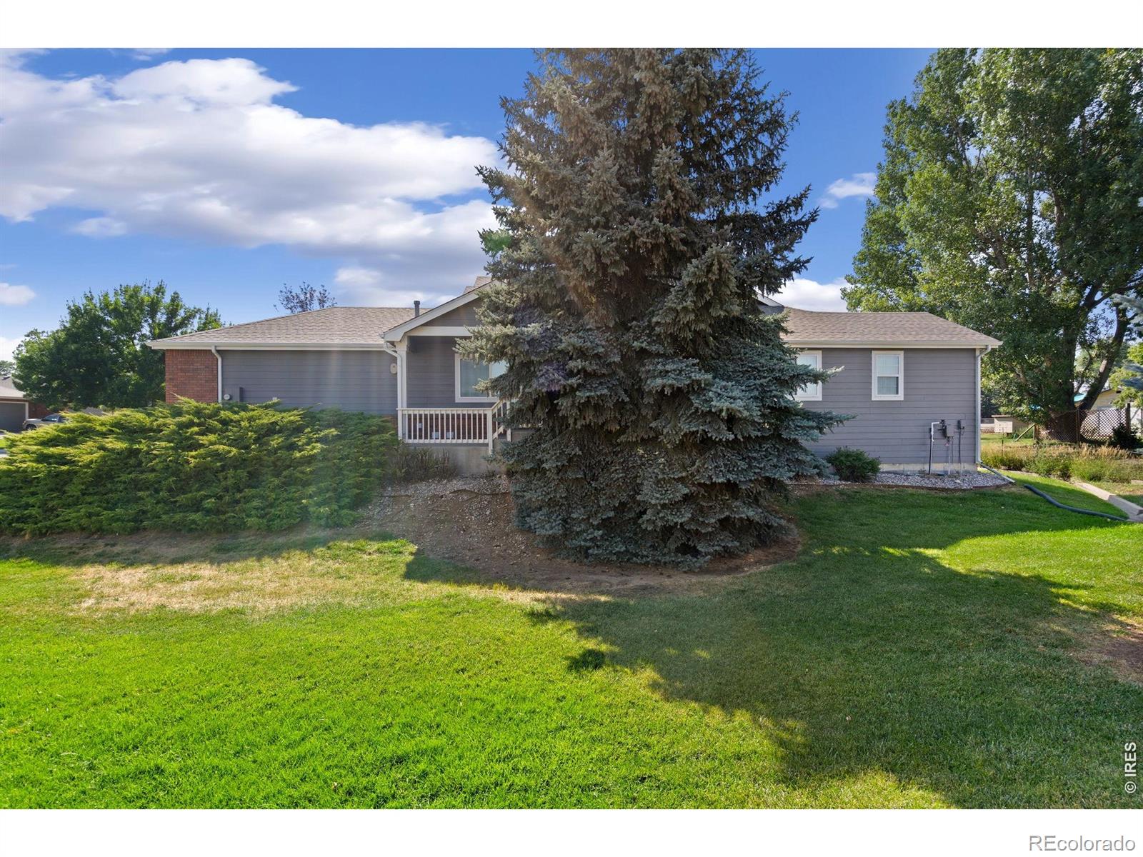 1108 Belleview Drive Fort Collins CO 80526