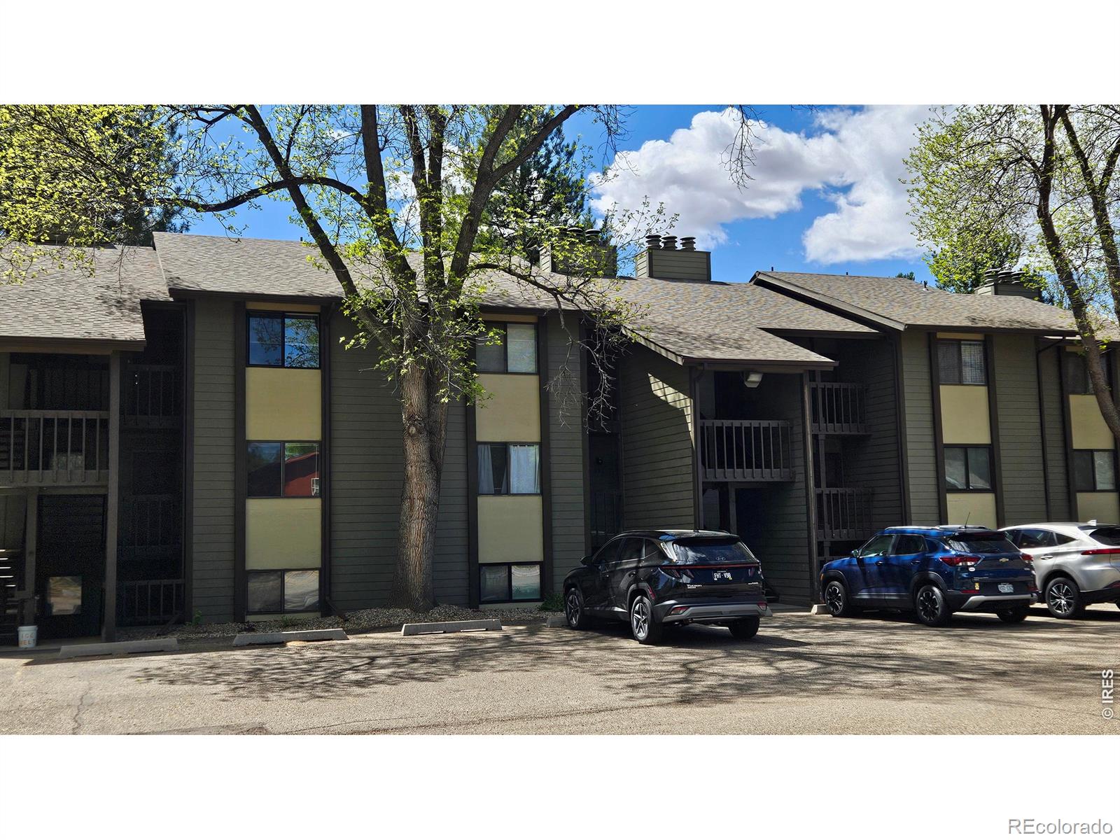 925 Columbia Road Fort Collins CO 80525