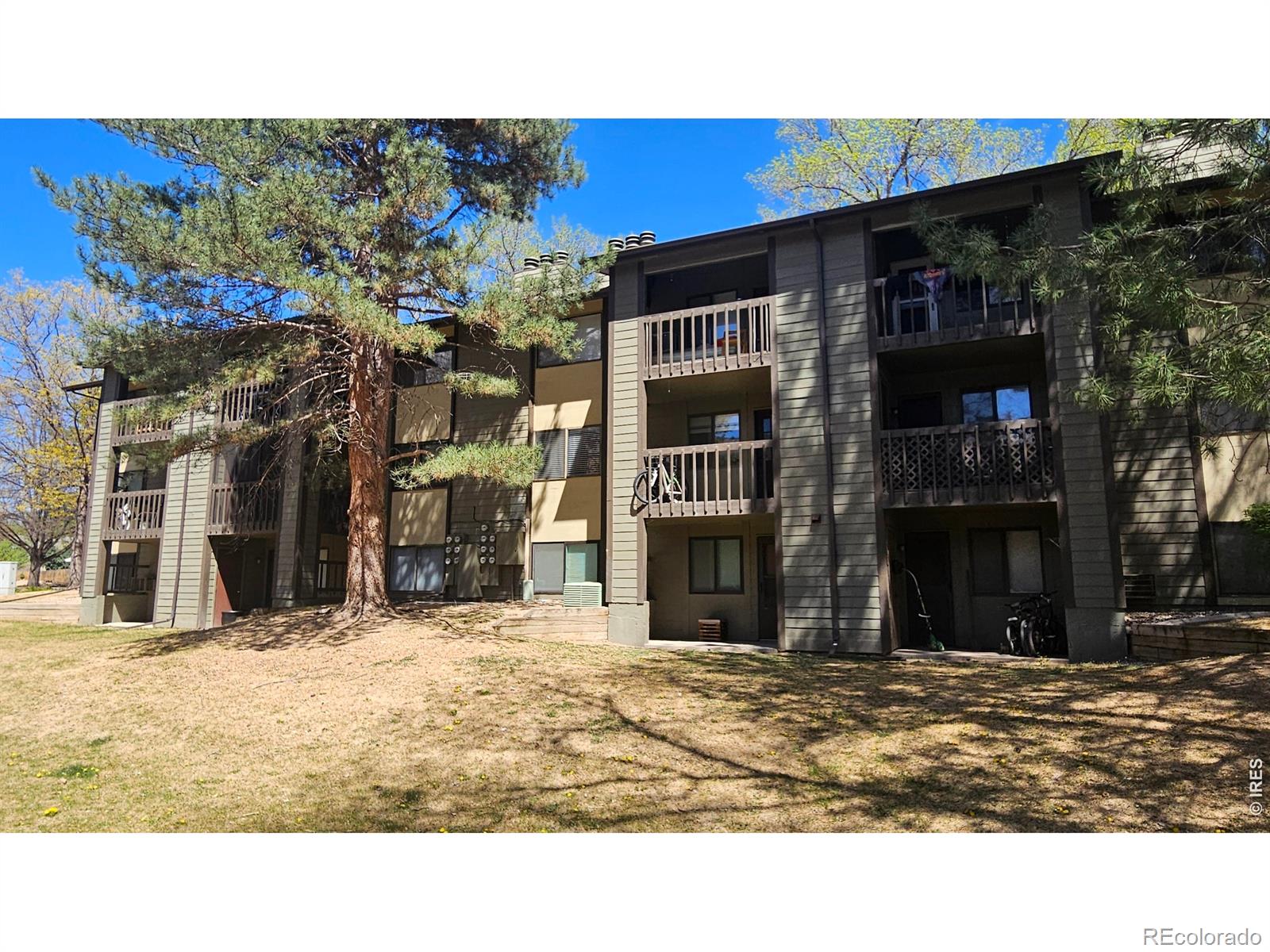 925 Columbia Road Fort Collins CO 80525