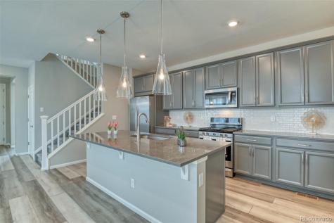 14094 Rock Daisy Trail Parker CO 80134