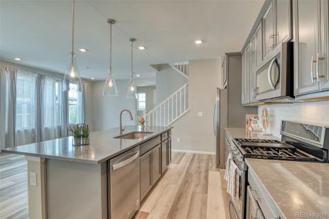 14094 Rock Daisy Trail Parker CO 80134