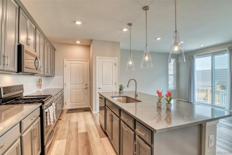 14094 Rock Daisy Trail Parker CO 80134