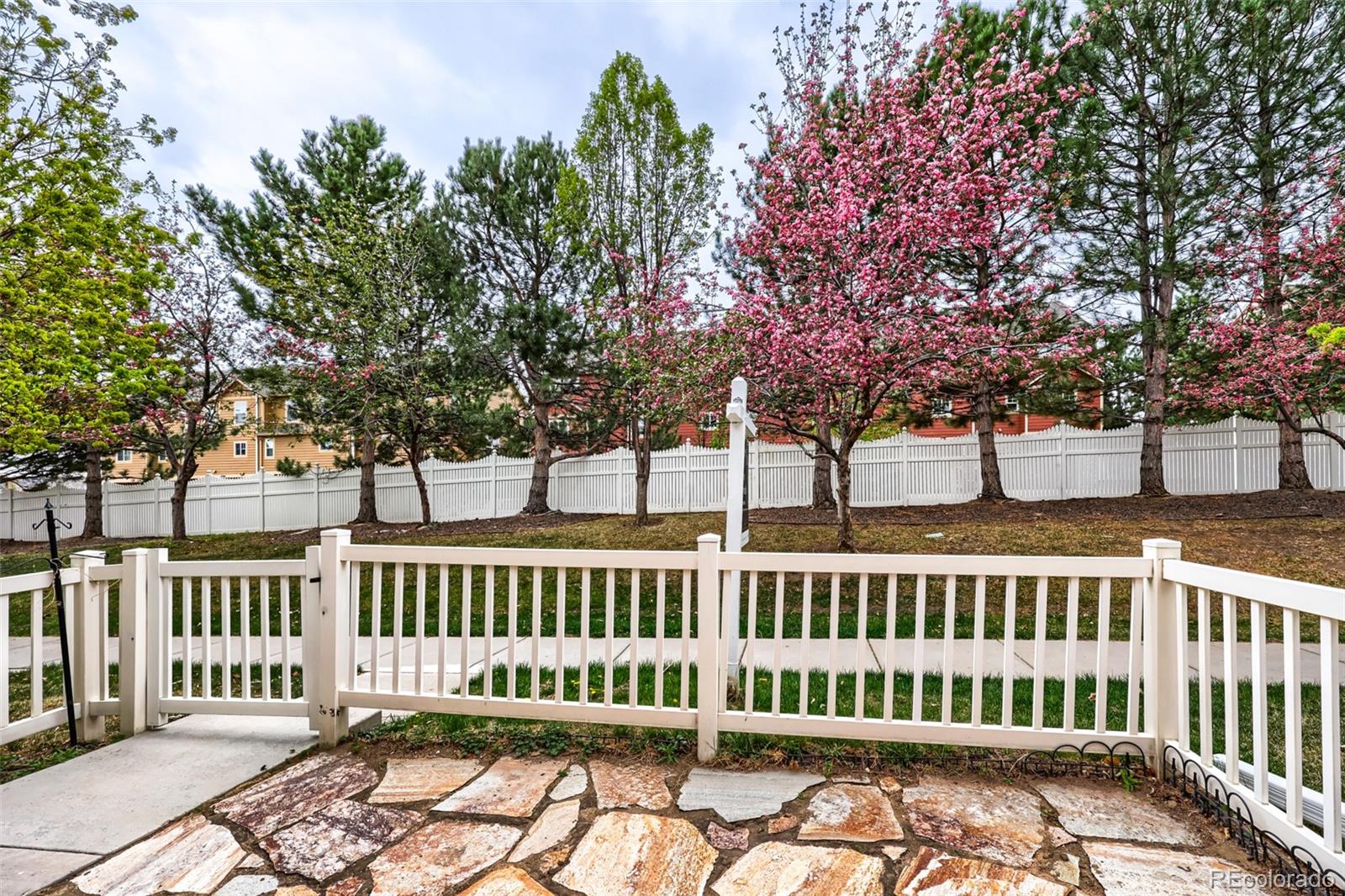1538 Bennet Mountain Road Castle Rock CO 80109