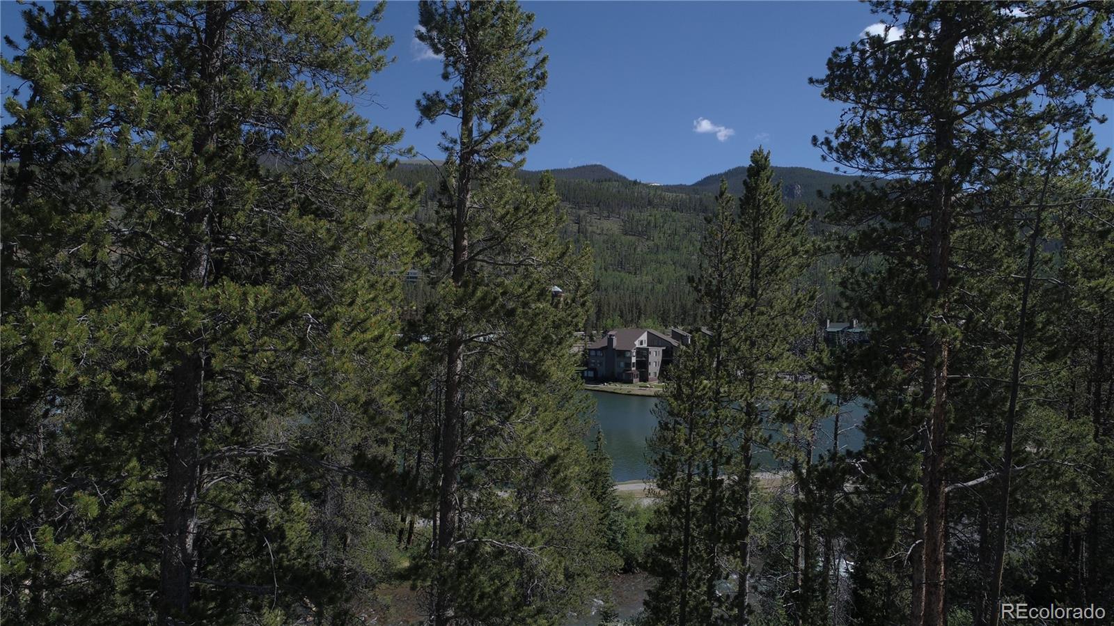 0125 Lake Ridge Circle Keystone CO 80435