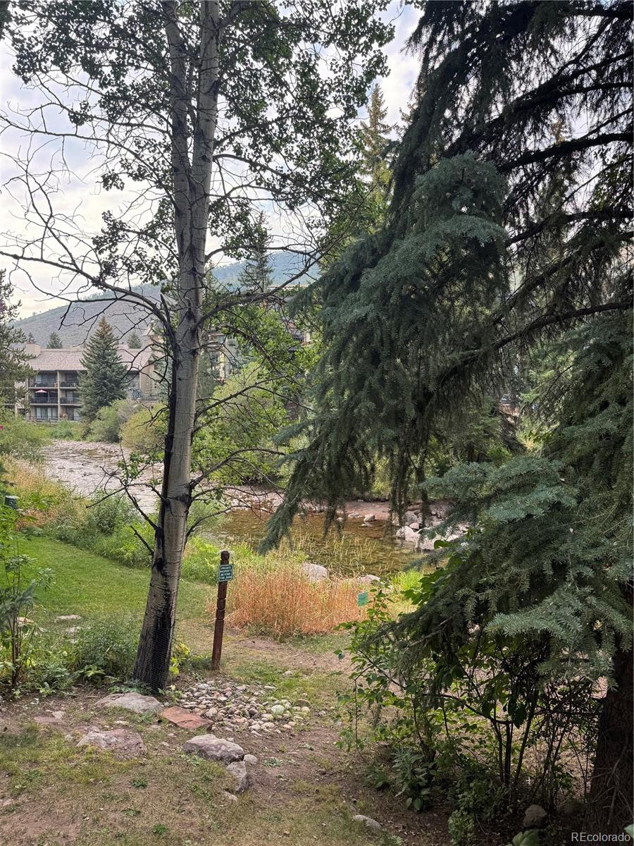 123 Willow Place Vail CO 81657