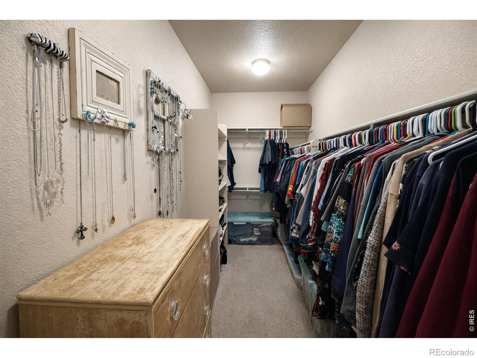 4672 W 20th St Road Greeley CO 80634