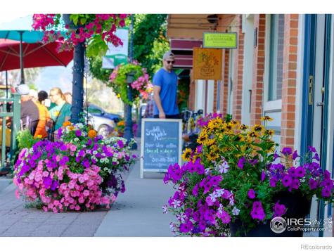 8060 Niwot Road Niwot CO 80503