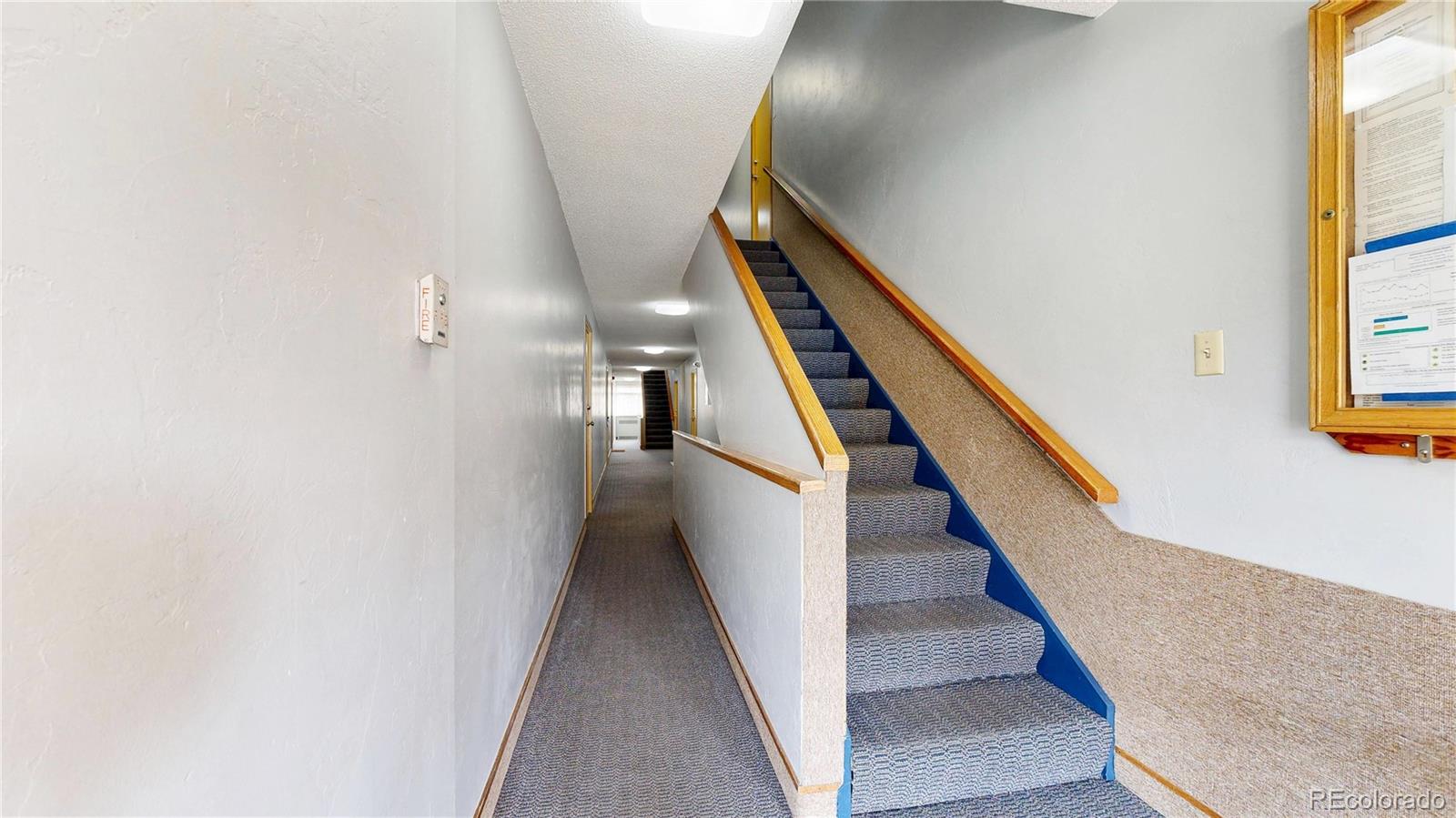 1221 Illinois Street Golden CO 80401