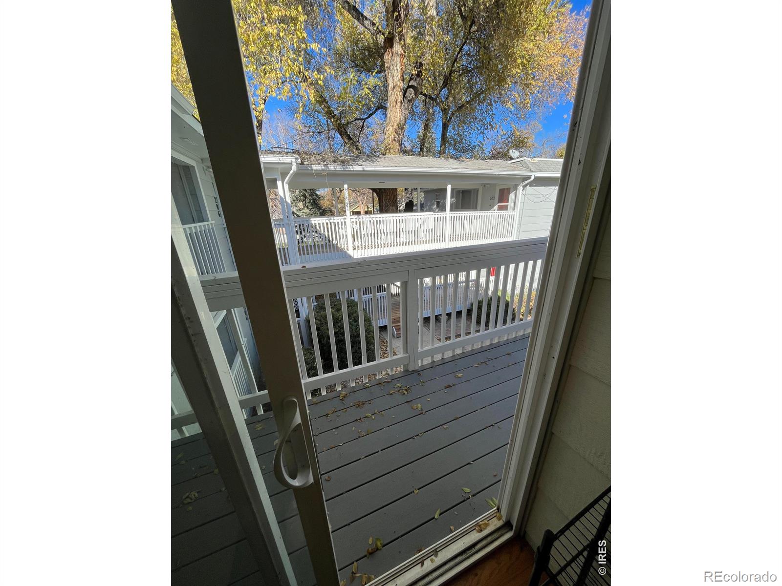 348 Collyer Street Longmont CO 80501