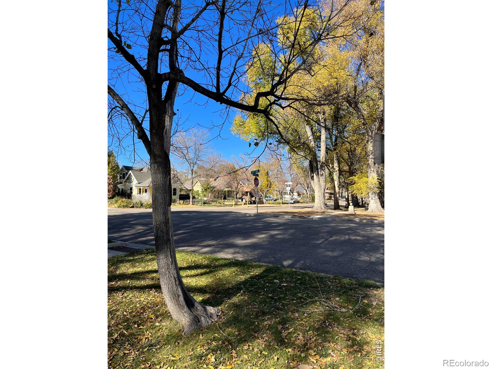 348 Collyer Street Longmont CO 80501